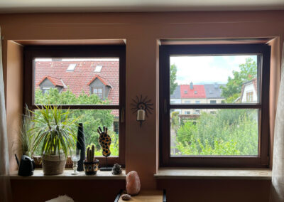 Zum Vergleich linkes Fenster ohne Fliegengitter-rechtes Fenster mit Fliegengitter-Fensterspannrahmen TRANSPARENT PLUS